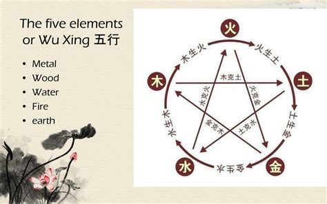 Chinese Fortune-telling 笔译-申思 Fortune-telling in China