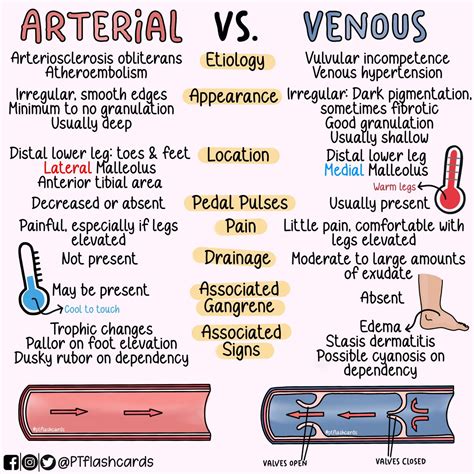 Differences Between Arterial And Venous Insufficiency Peripheral - Free ...