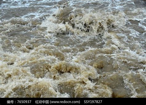 黄河水那么浑浊，为啥黄河鲤鱼却长得那么肥美？难道它们吃泥土？