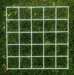 Image result for Free Science Lessons Using Quadrats