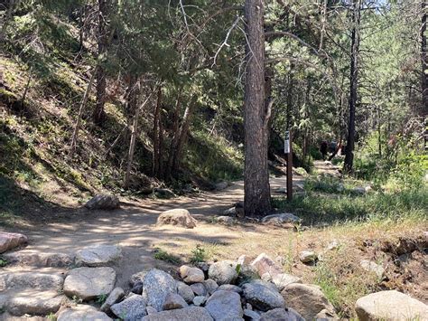 Anne U. White Trail Image Gallery