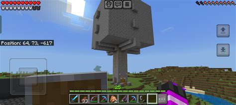 Exp Farm 1.17 Java 的图像结果