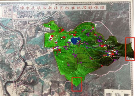 困难立地植被恢复造林模式示范推广项目-云南省林业和草原技术推广总站