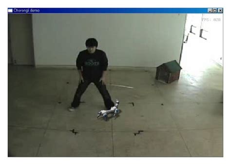 Image result for Virtual Pet Program