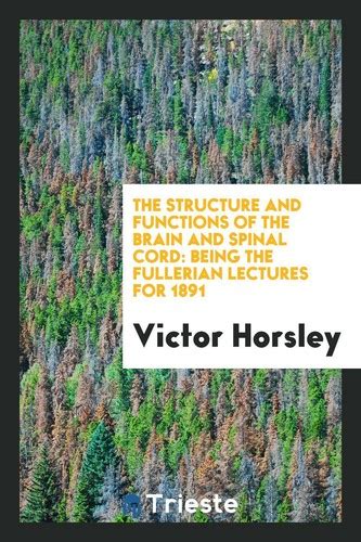 The Structure and Functions of the Brain and Spinal | Ubuy India