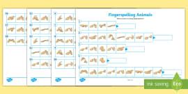 Fingerspelling Phase 5 Tricky Words Comprehension Worksheets