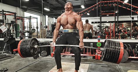 Image result for 8 Week Powerlifting Program