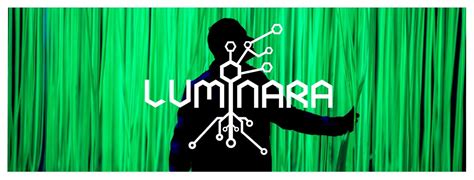 Enchanted Forest 2025: Luminara, Faskally Wood, Aberfeldy, 3 October ...