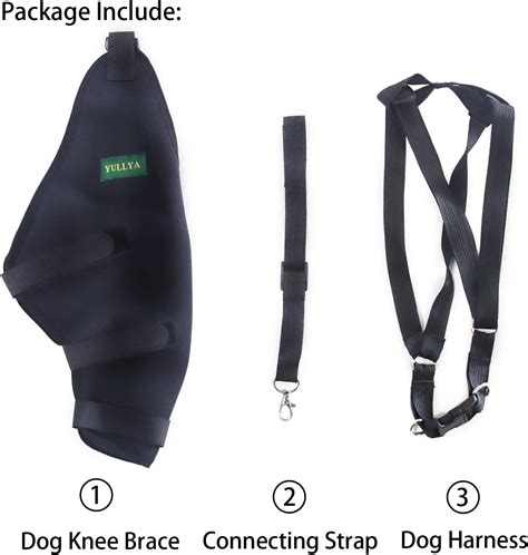Yullya Dog Knee Brace, Dog Leg Brace for Sprain ACL, India | Ubuy