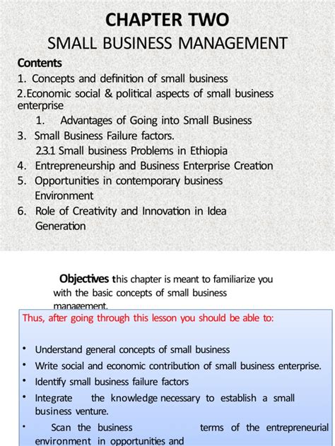 Small Business Management Guide | PDF | Entrepreneurship | Small Business