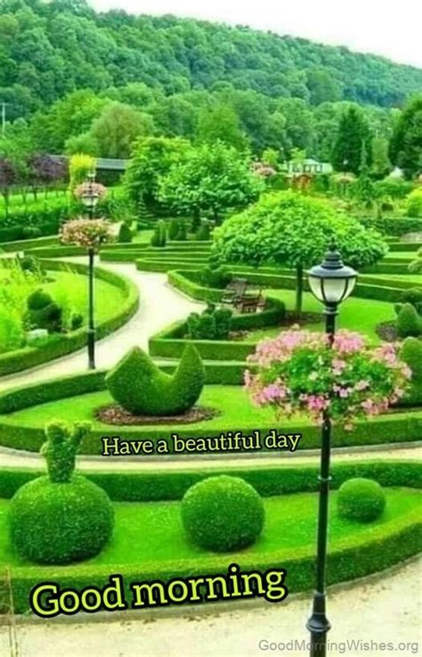 Good Morning Busy 的图像结果