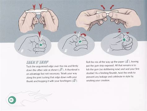 Joint Rolling Tutorial 的图像结果