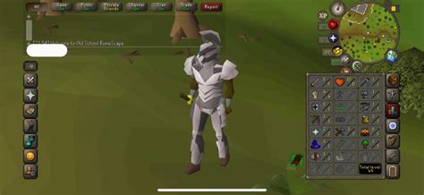 OSRS UIM Guide 的图像结果