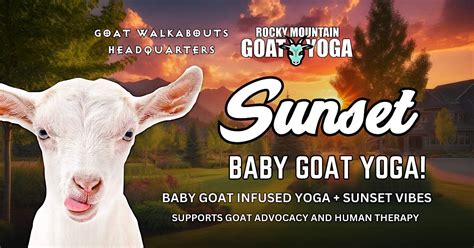 Sunset Baby Goat Yoga - July 23RD (GOAT WALKABOUTS HEADQUARTERS), Goat ...