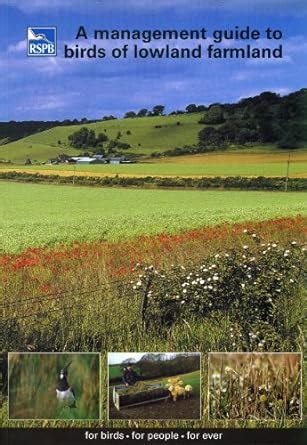 Buy A Management Guide to Birds of Lowland Farmland (RSPB Management ...
