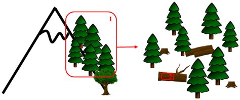 The Habitat of the Neglected Independent Protonemal Stage of Buxbaumia ...