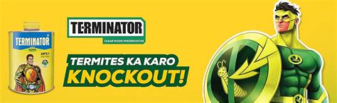 Pidilite Terminator Eco-Friendly Termite Killer Refill Pack | Wood ...