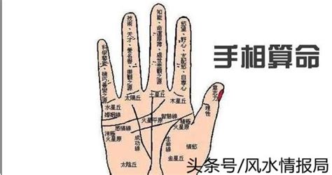 手紋掌紋學問大，正確認識手相的完整介紹 - 每日頭條