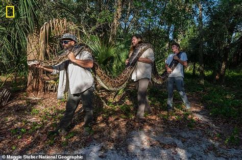 Florida Python Problem 的图像结果