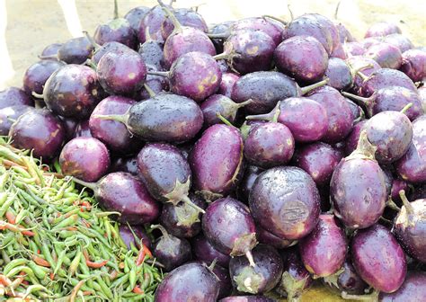 Maharashtrian Authentic Food | Pune Cuisine