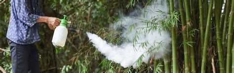 Image result for Pyrethrin Uses