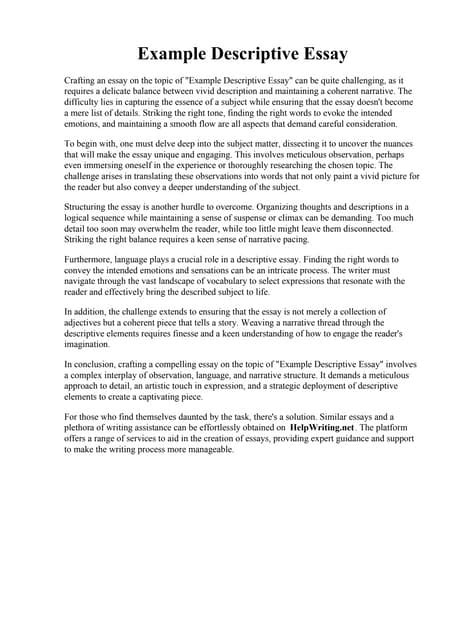 Describing Essay Example 的图像结果