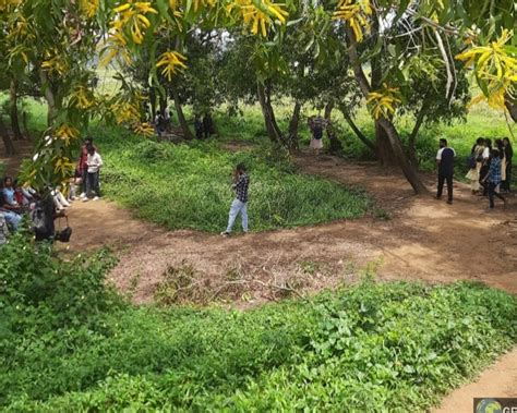 Botany Department Leads Educational Biodiversity Walk at Punchakkari ...