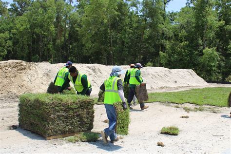 Sod Installation Services | Instant Green Lawns