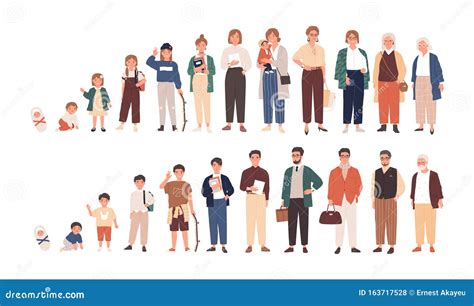 Human Female Reproductive Systems Chart Cartoon Vector | CartoonDealer ...