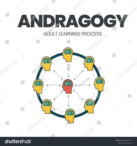 Image result for Adult Learning Principles