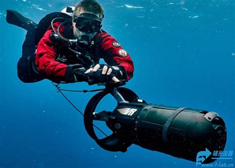 老外太会玩了！潜水20米用鱼枪捕鱼，顺利抓到一条东方石鲈|真相,旅游,地域奇趣,好看视频