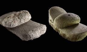 Neolithic Revolution Technology 的图像结果