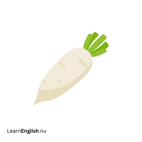 Vegetables in Spanish - learn spanish