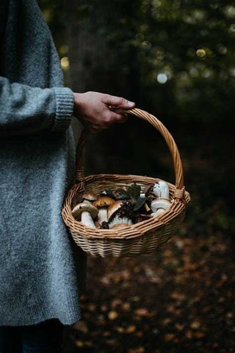 Image result for Tricot Tutorial