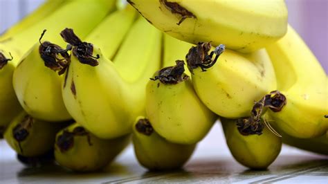 Philippine Banana Exports Down 10%, Chinese Demand Declines | Produce Report