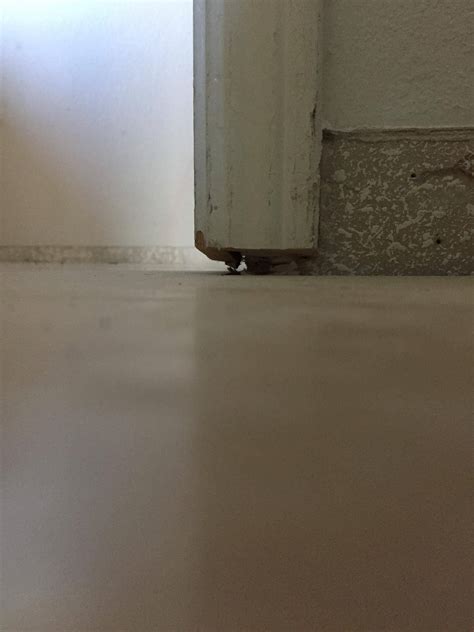 flooring - Door jamb and molding too short after replacing carpet with ...