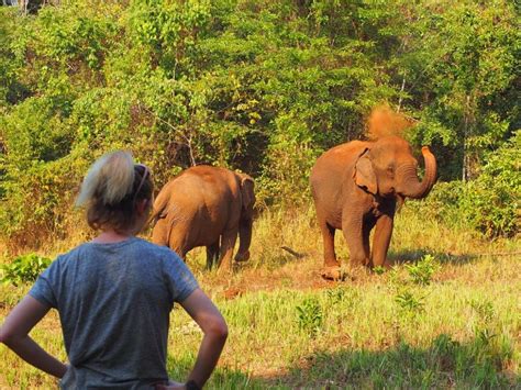 All the ethical elephant sanctuaries in Asia you need to know about