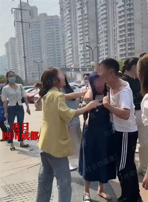 杨姓名字属虎男孩,杨姓男孩虎宝宝取名什么豪丫？_2345实用查询