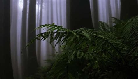 Haunted Places in Darjeeling | Paranormal Tourism 2026