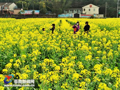 春暖花开图片_田野风光_自然风景-图行天下素材网