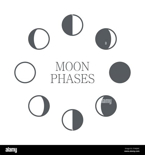 Moon phases icon night space astronomy and nature moon phases sphere shadow. The whole cycle ...