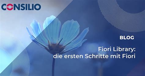 Image result for Fiori Library