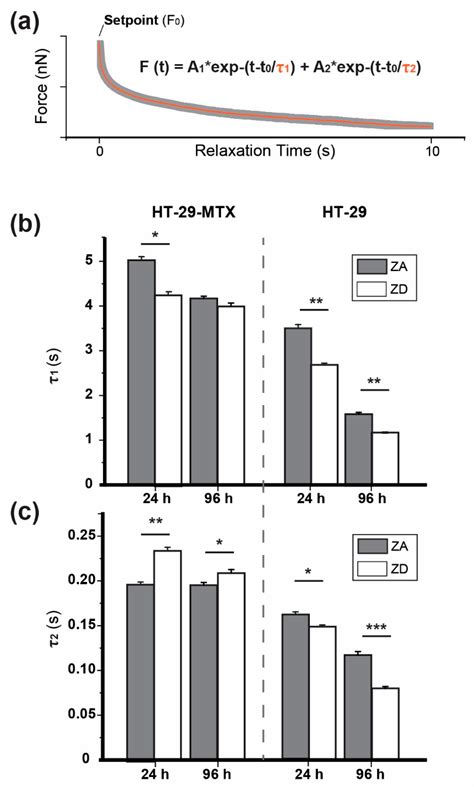 Time- and Zinc-Related Changes in Biomechanical Properties of Human ...