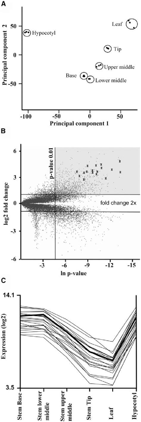 Microarray Data 的图像结果