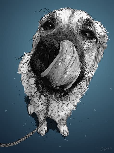 Cool Drawings of Dogs 的图像结果