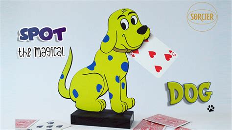 Magic Tricks for Dogs 的图像结果