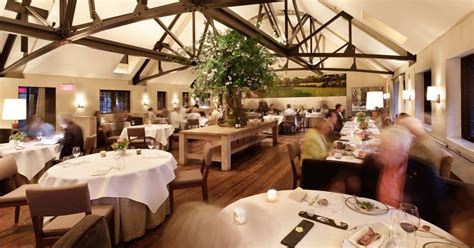Image result for Restaurant Advertisement Using HTML