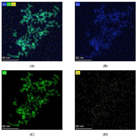New Ultrasensitive Sandwich-Type Immunoassay of Dendritic Tri-Fan Blade ...