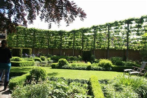 tuin linde leibomen - Google zoeken | Tuin ideeën, Tuin, Tuinieren