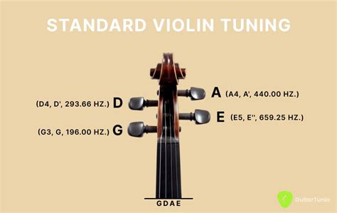 Tuning a Violin for Beginners 的图像结果
